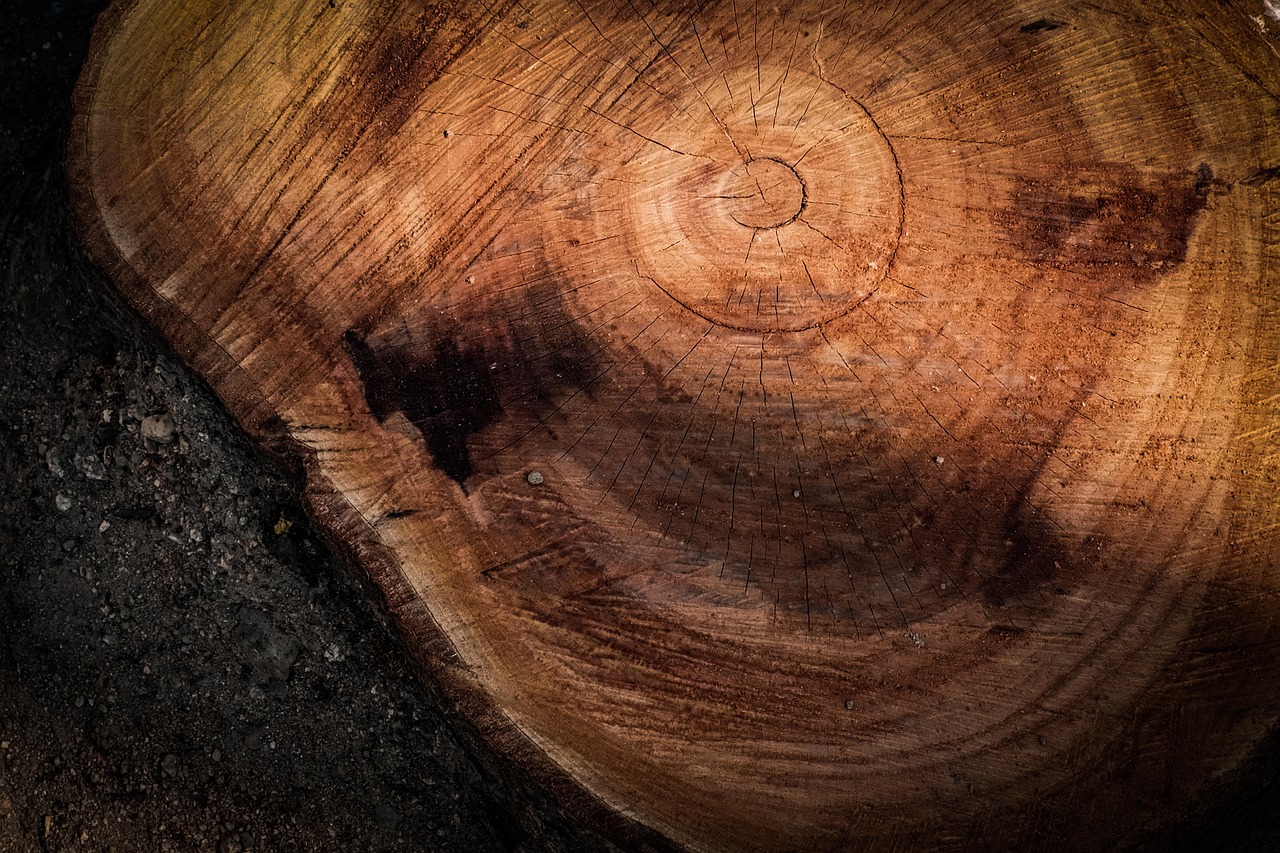 découvrez les résultats annuels détaillés de notre entreprise, incluant les performances financières, les analyses clés et les perspectives pour l'avenir.