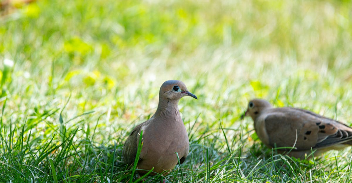 découvrez l'évaluation des coûts environnementaux et son importance dans la prise de décision durable. apprenez comment cette méthode analyse l'impact économique des activités sur notre planète, favorisant ainsi des pratiques responsables et écoresponsables.