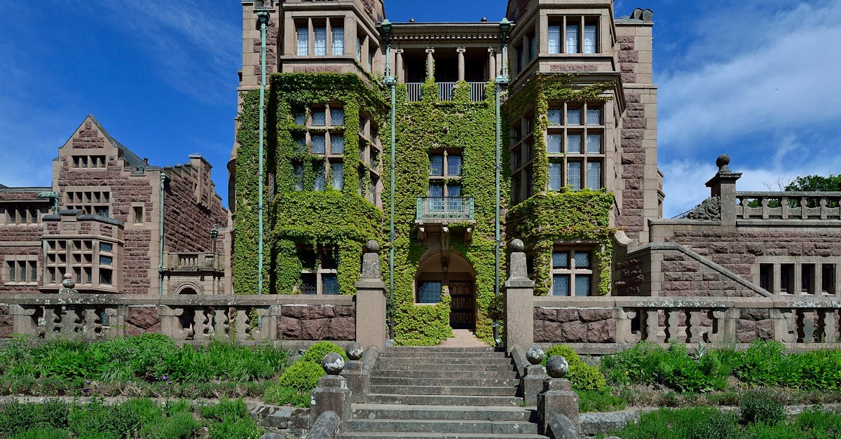 découvrez l'importance de la préservation de notre environnement et des écosystèmes. explorez des solutions durables pour protéger notre planète et assurer un avenir sain pour les générations futures.