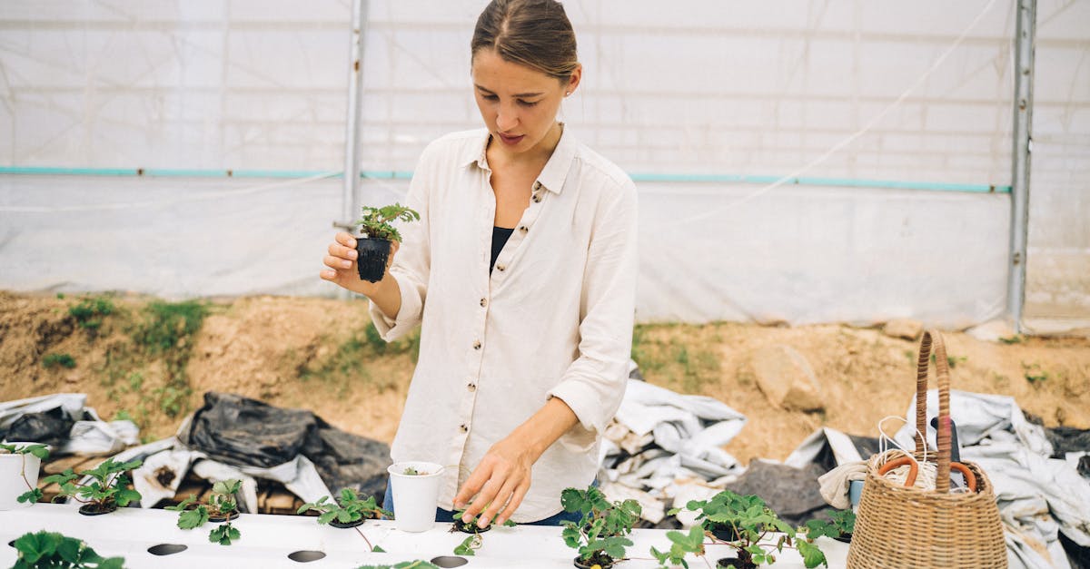 découvrez l'importance de la sensibilisation écologique pour un avenir durable. apprenez comment chacun peut agir pour protéger notre planète et promouvoir des pratiques respectueuses de l'environnement.
