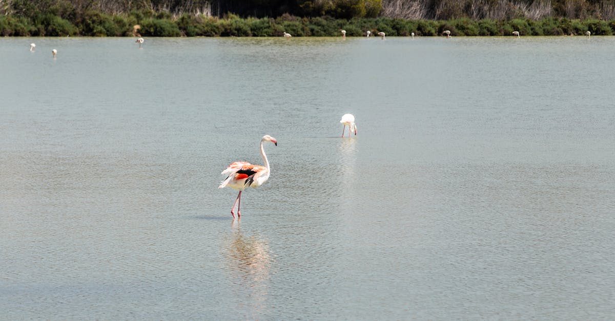 découvrez les change-makers, ces acteurs du changement qui transforment le monde par leurs idées novatrices et leur engagement social. inspirez-vous de leurs parcours et de leurs actions pour créer un avenir meilleur et durable.