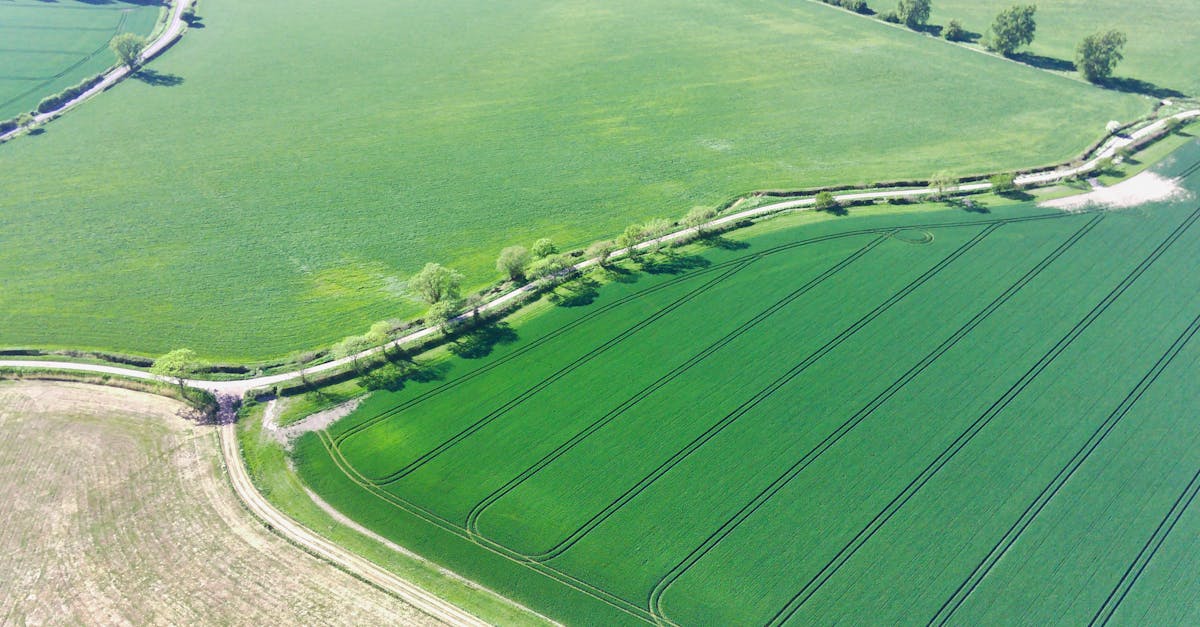 découvrez l'économie de l'écosystème, un modèle innovant qui réinvente la manière dont les entreprises interagissent et prospèrent grâce à la collaboration, la durabilité et l'innovation. explorez les avantages d'une économie interconnectée et les stratégies pour s'engager dans cette approche durable.