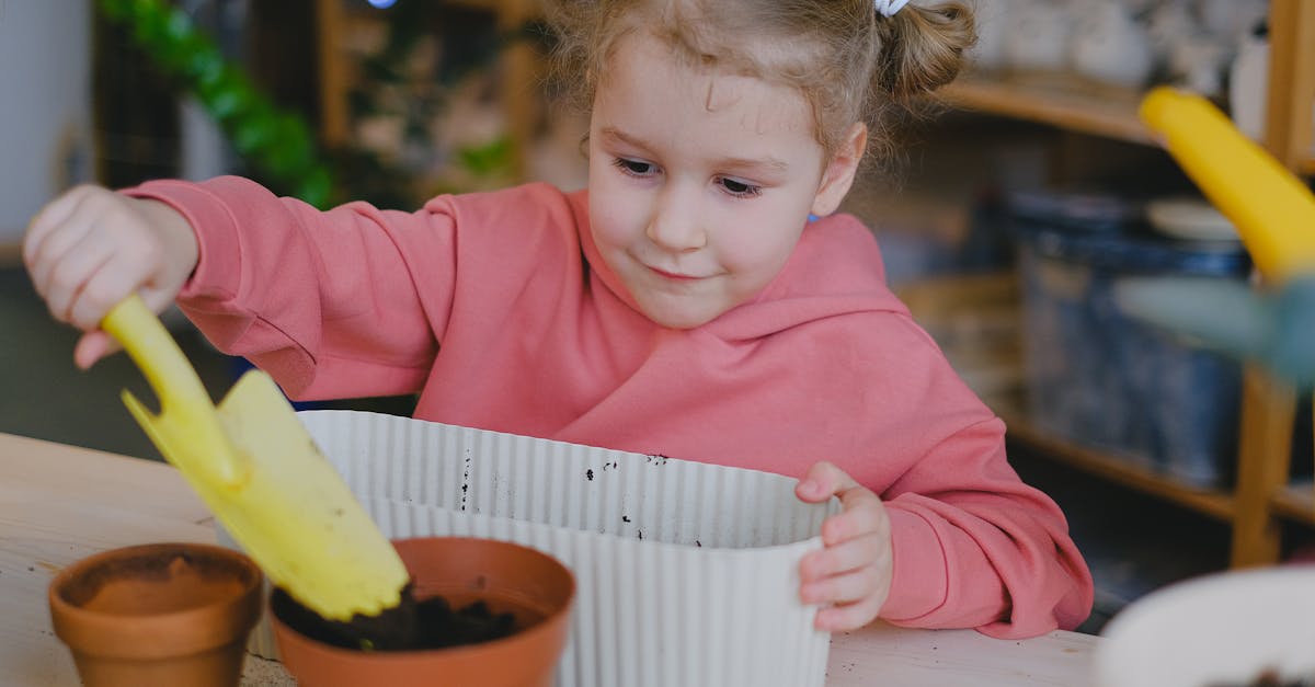 découvrez comment l'engagement écologique transforme notre monde. explorez des initiatives durables, des solutions innovantes et des actions concrètes pour préserver notre planète et promouvoir un avenir meilleur.