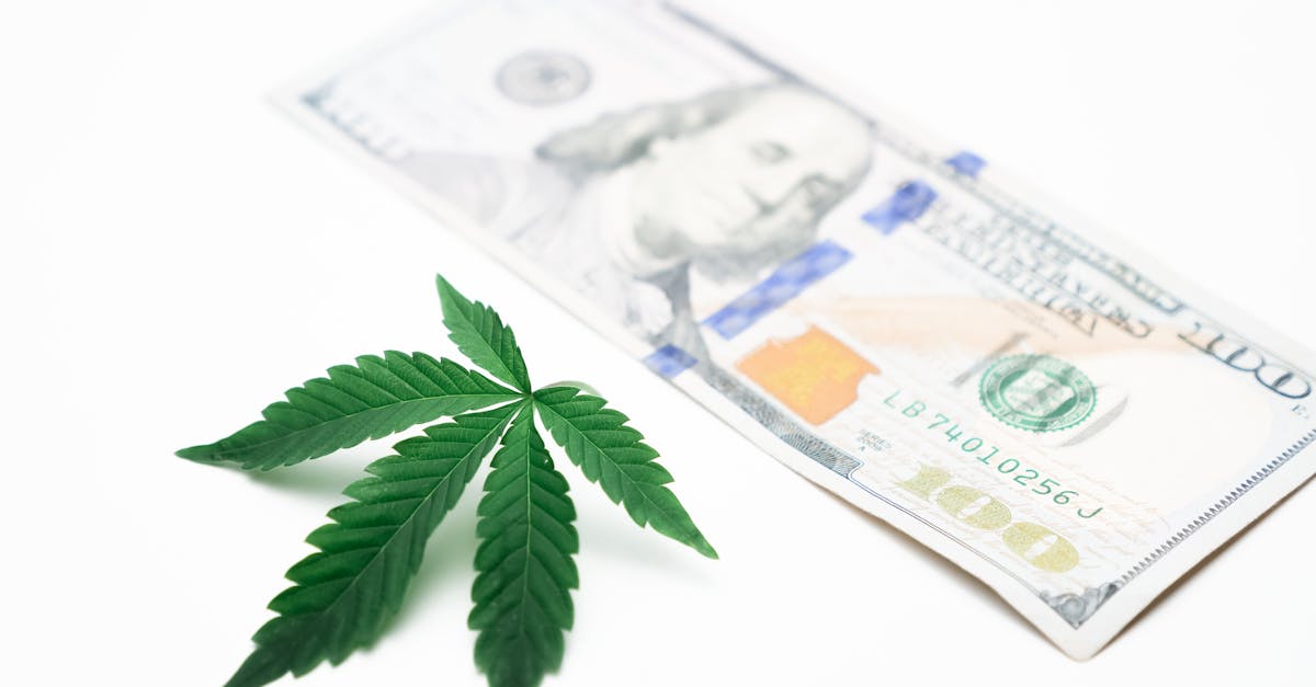 découvrez comment l'économie verte transforme notre avenir en intégrant durabilité, protection de l'environnement et innovation. explorez les initiatives écologiques et les opportunités d'investissement qui favorisent un développement durable et préservent les ressources de notre planète.