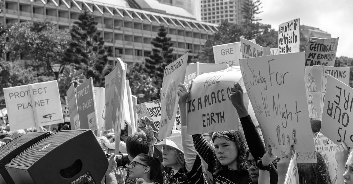 découvrez comment les médias environnementaux sensibilisent, éduquent et inspirent l'action pour la protection de notre planète. explorez des articles, des documentaires et des ressources engagées pour mieux comprendre les enjeux écologiques actuels.