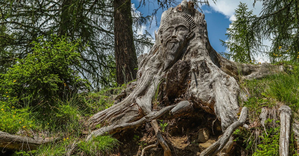 découvrez le pouvoir de la co-création, une approche collaborative qui favorise l'innovation et l'engagement. apprenez comment réunir des talents divers pour créer des solutions uniques et adaptées aux besoins de tous. explorez les avantages de cette méthode dynamique dans vos projets.