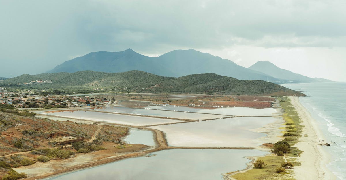 découvrez la médiation environnementale, un processus efficace pour résoudre les conflits liés à l'environnement. apprenez comment cette approche collaborative peut favoriser un dialogue constructif entre les parties prenantes et contribuer à la préservation de notre planète.