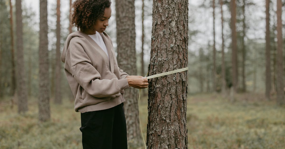 découvrez les dernières avancées en matière de recherche climatique, comprenant des études sur le changement climatique, ses impacts environnementaux, et des solutions durables pour préserver notre planète.