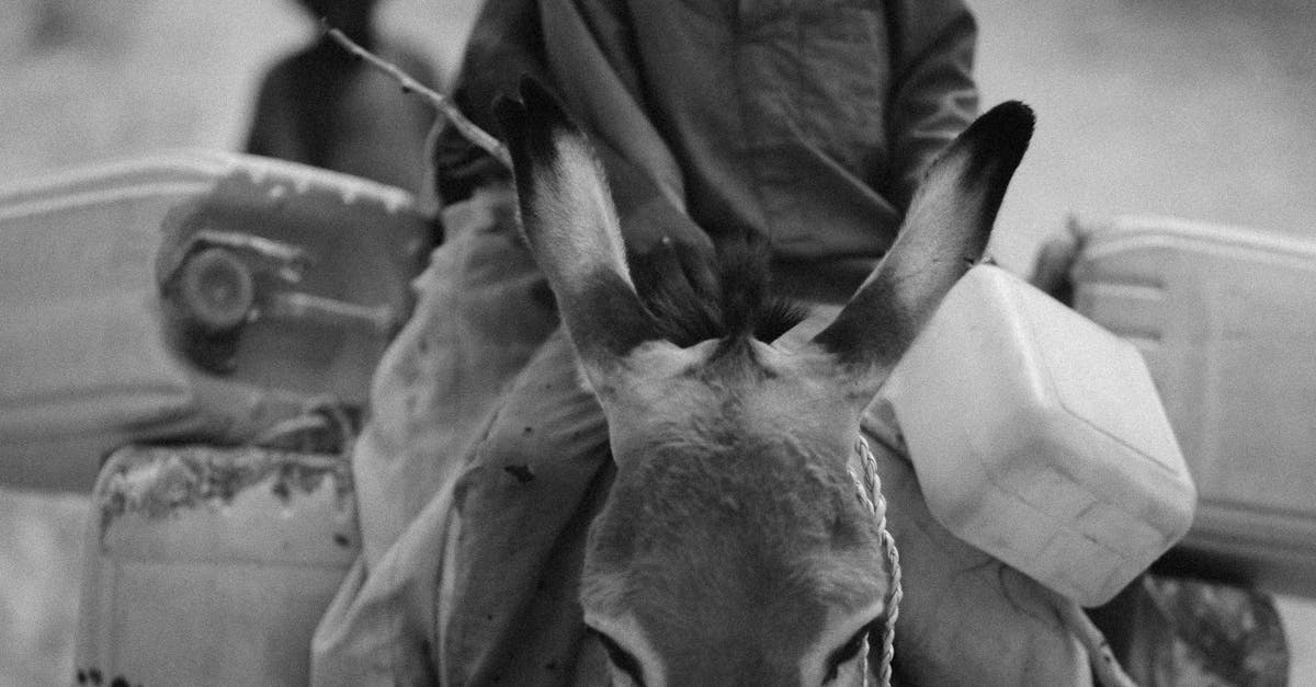 découvrez l'économie de solidarité, un modèle économique alternatif qui favorise la coopération, l'entraide et le développement durable. explorez comment cette approche innovante encourage des pratiques éthiques et responsables, tout en renforçant les liens sociaux et en soutenant les communautés locales.