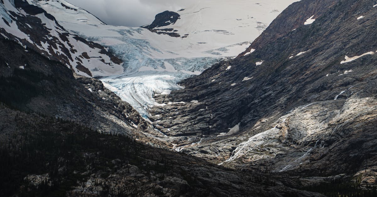 découvrez des solutions innovantes pour lutter contre le changement climatique. explorez des initiatives durables, des technologies vertes et des stratégies efficaces pour réduire votre empreinte carbone et préserver notre planète pour les générations futures.
