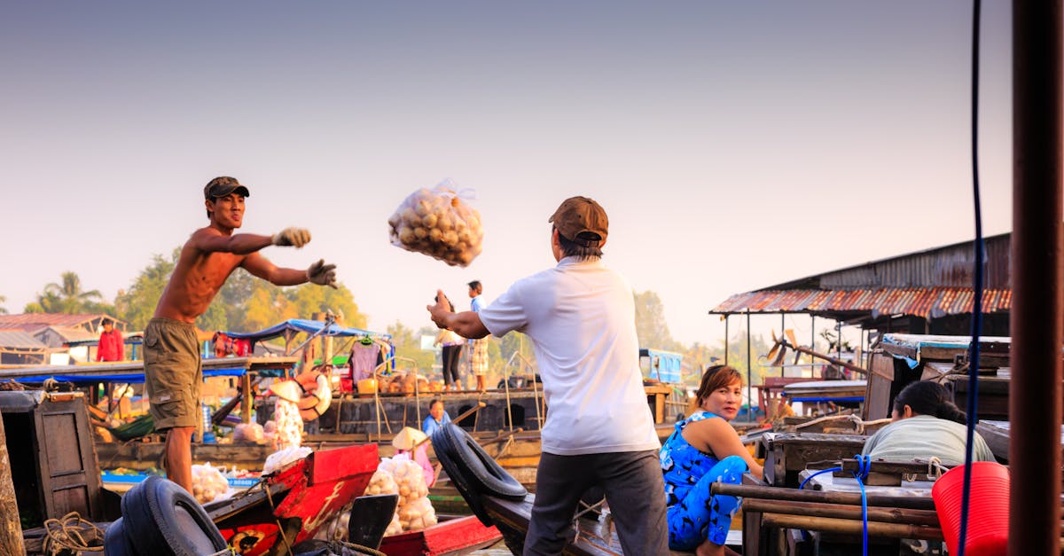 découvrez comment l'économie durable transforme notre société en alliant croissance économique, protection de l'environnement et bien-être social. explorez les enjeux, les solutions innovantes et la transition vers un avenir éco-responsable.