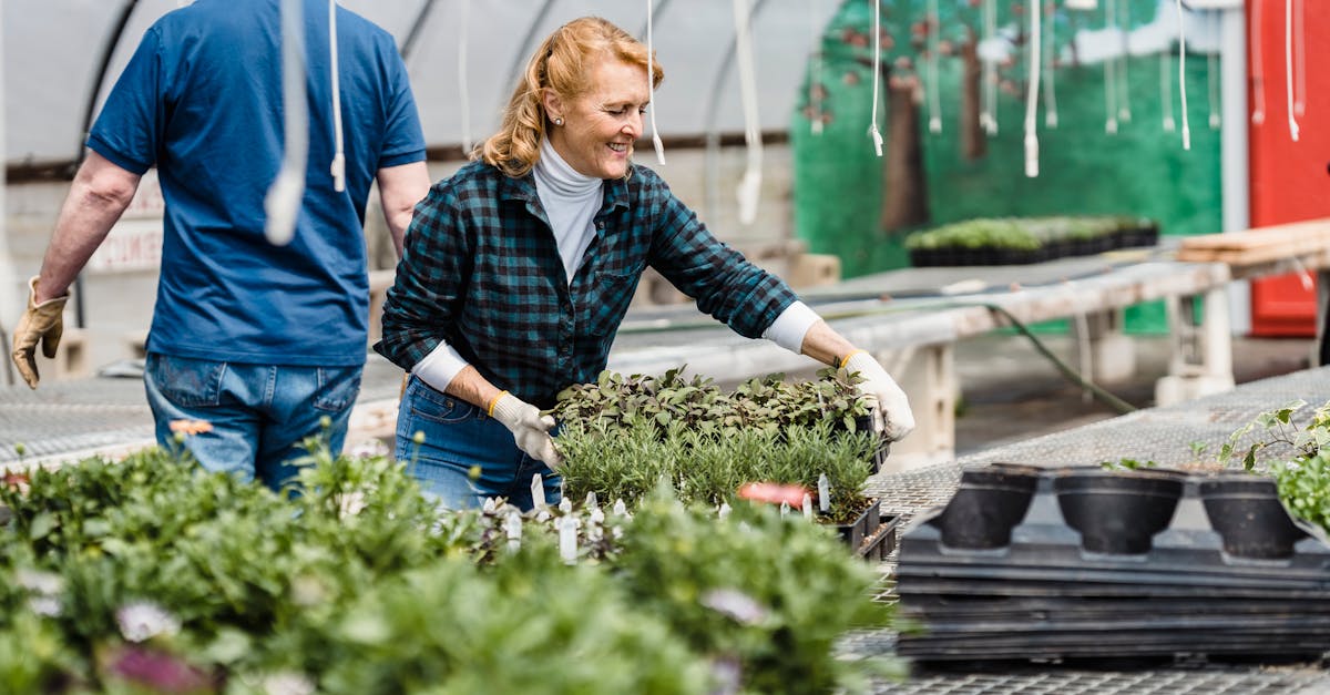 découvrez les principes du jardinage durable pour créer un espace verdoyant et respectueux de l'environnement. apprenez à cultiver vos plantes de manière éco-responsable, à préserver la biodiversité et à favoriser les pratiques de jardinage qui protègent notre planète.