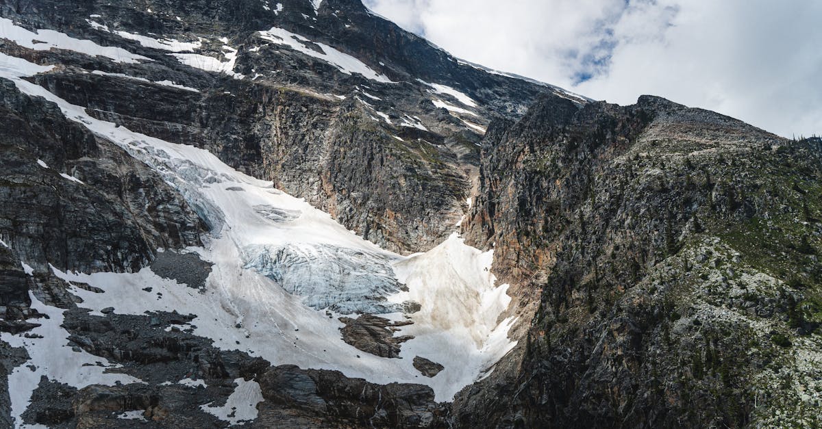 découvrez des solutions innovantes et durables pour lutter contre le changement climatique. explorez des stratégies écologiques, des technologies vertes et des initiatives communautaires qui contribuent à un avenir plus respectueux de l'environnement.