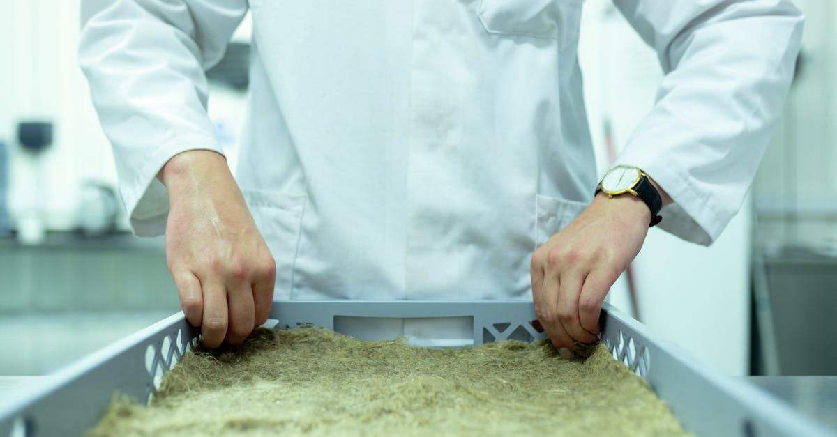 découvrez l'importance des pratiques durables pour un avenir meilleur. apprenez comment adopter des gestes écoresponsables au quotidien et contribuer à la préservation de notre planète.