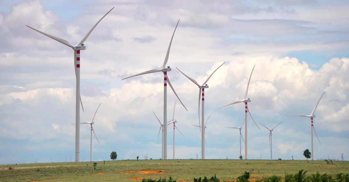 agissez pour la planète avec notre guide complet sur l'action climatique. découvrez des initiatives, des conseils et des solutions pour réduire votre empreinte carbone et contribuer à un avenir durable.