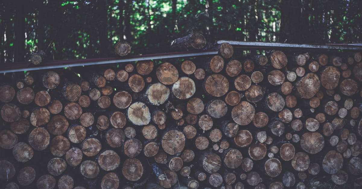 découvrez des stratégies innovantes pour une gestion durable des ressources, alliant protection de l'environnement et développement économique. apprenez à optimiser l'utilisation des ressources naturelles tout en préservant notre planète pour les générations futures.