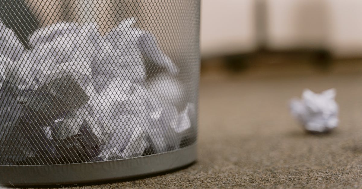 découvrez des pratiques durables qui préservent notre planète pour les générations futures. apprenez comment intégrer des méthodes écoresponsables dans votre quotidien et réduire votre empreinte écologique.