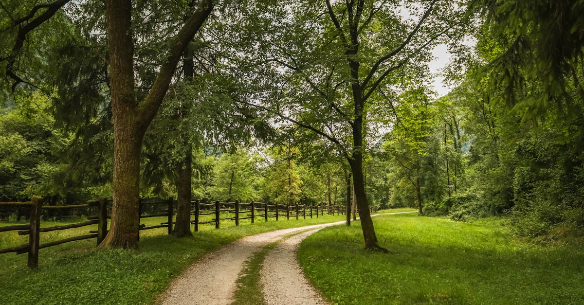 découvrez comment les incitations environnementales peuvent stimuler la durabilité et encourager des comportements écoresponsables. explorez les avantages financiers et les initiatives vertes à travers le monde.