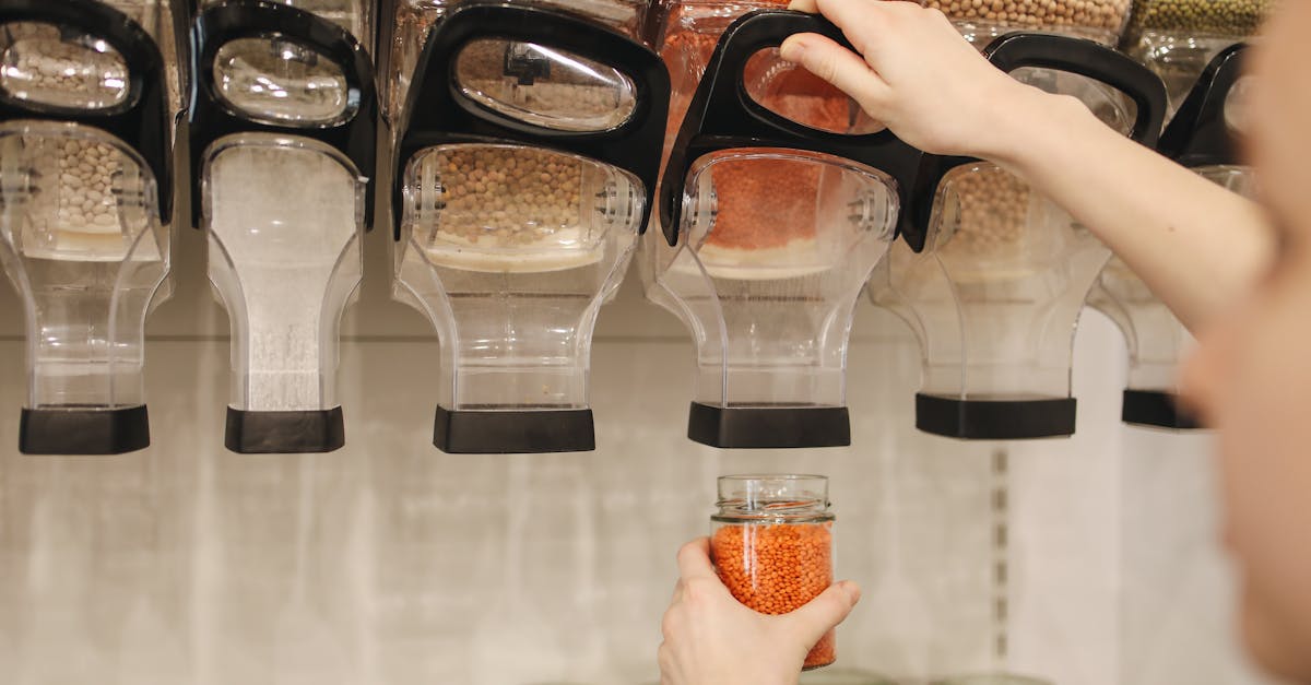 découvrez les fondements de l'éthique environnementale, un domaine qui explore la relation entre l'homme et la nature, tout en soulignant l'importance de préserver notre planète pour les générations futures.