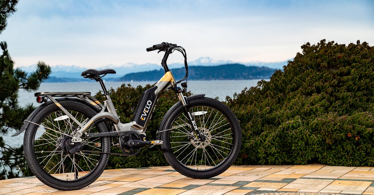 découvrez les enjeux et les solutions de la mobilité durable, un concept essentiel pour réduire notre empreinte carbone et améliorer la qualité de vie en milieu urbain. explorez des modes de transport écologiques et les innovations qui façonnent un avenir respectueux de l'environnement.