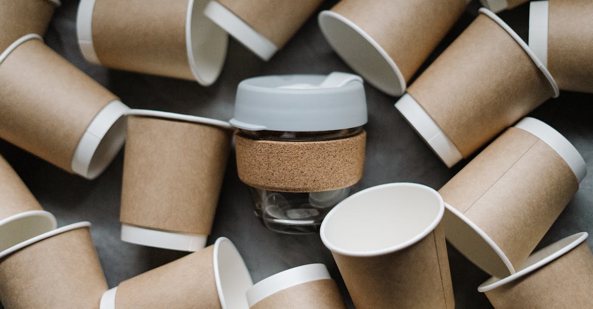 découvrez l'empreinte écologique, un indicateur essentiel qui mesure l'impact de nos activités sur l'environnement. apprenez comment réduire votre empreinte et contribuer à un avenir durable.