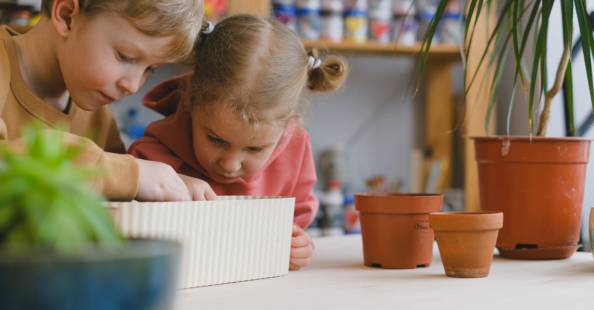 découvrez comment l'engagement écologique façonne un avenir durable. explorez des pratiques responsables, des initiatives vertes et des conseils pour réduire votre empreinte carbone tout en préservant notre planète pour les générations futures.