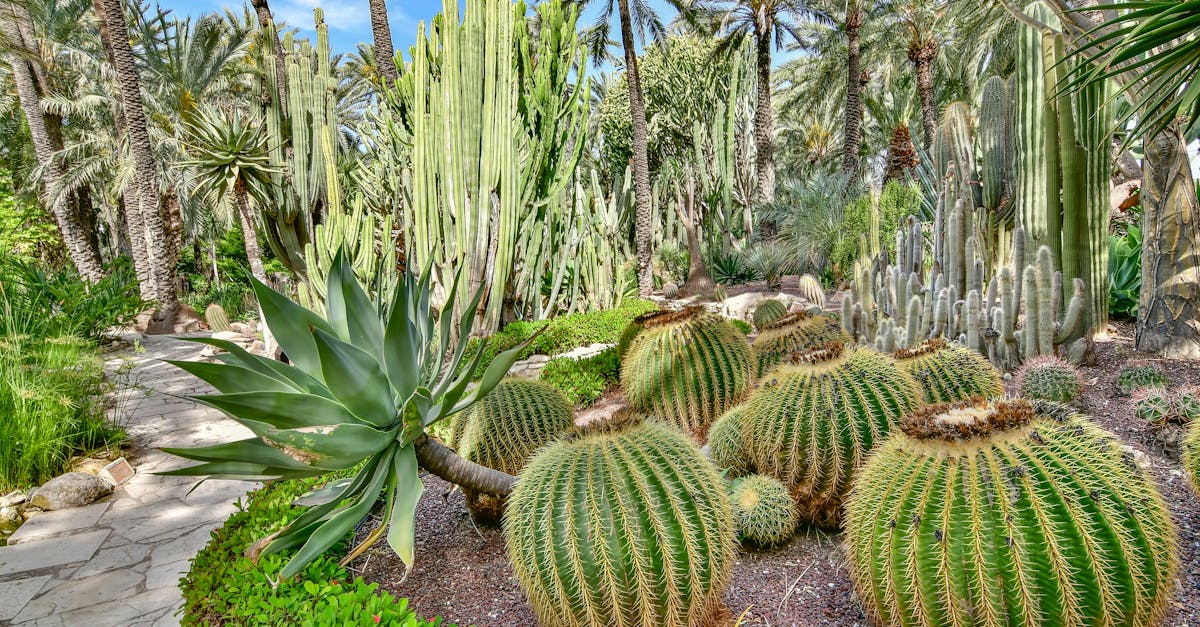 découvrez comment les collectifs écologiques unissent leurs forces pour promouvoir des pratiques durables, protéger l'environnement et inspirer une communauté engagée vers un avenir plus vert.