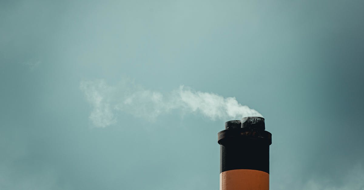 découvrez comment les politiques climatiques façonnent notre avenir. explorez les initiatives, les stratégies et les actions nécessaires pour lutter contre le changement climatique et protéger notre planète.