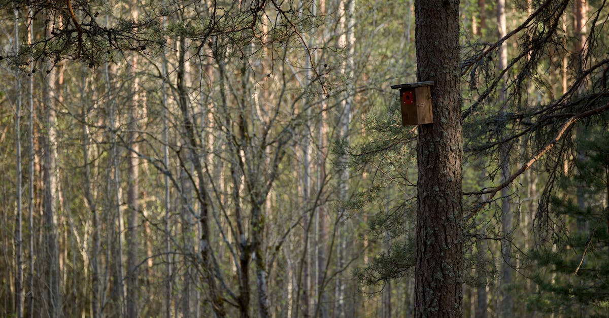 découvrez l'importance des indicateurs environnementaux pour évaluer la santé de notre planète. explorez comment ces mesures nous aident à comprendre les changements climatiques, la biodiversité et la gestion durable des ressources naturelles.