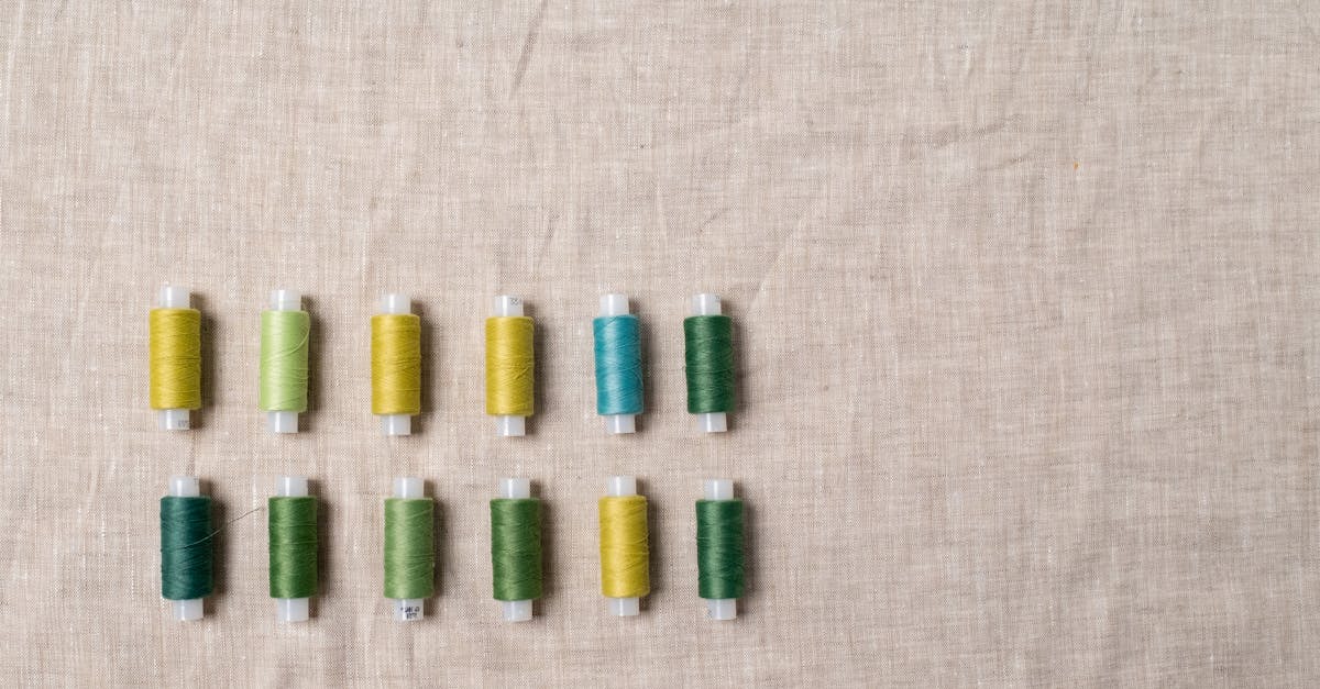 découvrez les compétences écologiques indispensables pour un avenir durable. aidez à protéger notre planète tout en développant vos talents avec notre guide sur les green skills.