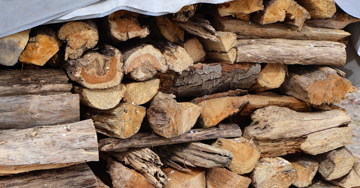 découvrez tout ce que vous devez savoir sur l'empreinte carbone, son impact sur l'environnement et les moyens efficaces pour la réduire. engagez-vous pour un avenir durable et apprenez à diminuer votre impact écologique au quotidien.