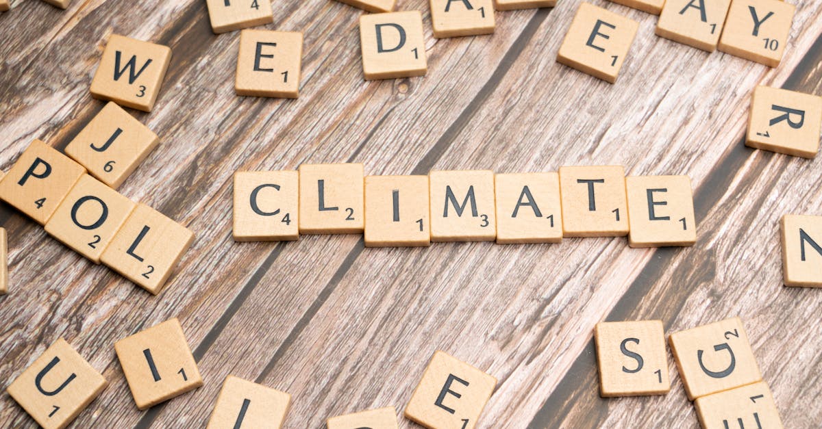 découvrez l'importance de l'éducation climatique pour sensibiliser les générations futures aux enjeux environnementaux. apprenez comment intégrer des pratiques durables et développer une conscience éco-responsable dans votre vie quotidienne.