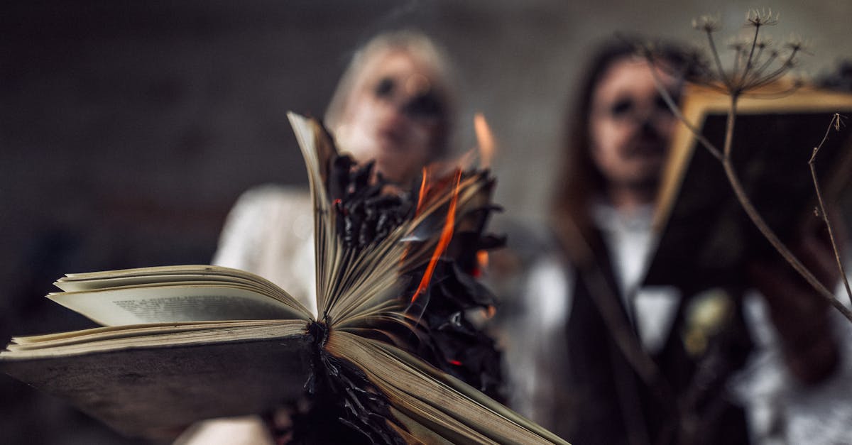 découvrez comment le changement culturel façonne nos sociétés modernes, influençant nos valeurs, comportements et interactions. explorez les dynamiques de ce phénomène mondial à travers des exemples concrets et des analyses approfondies.