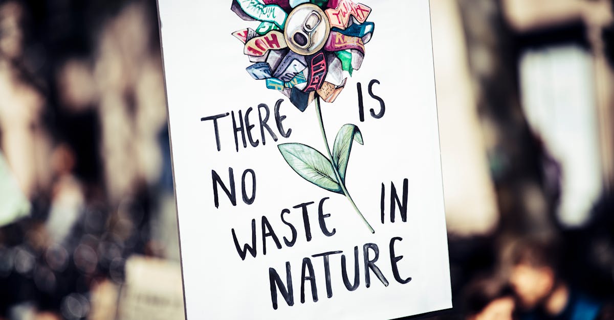 découvrez des idées innovantes et durables pour le recyclage créatif. transformez vos objets recyclables en œuvres d'art, meubles originaux ou projets diy inspirants, tout en préservant notre planète.