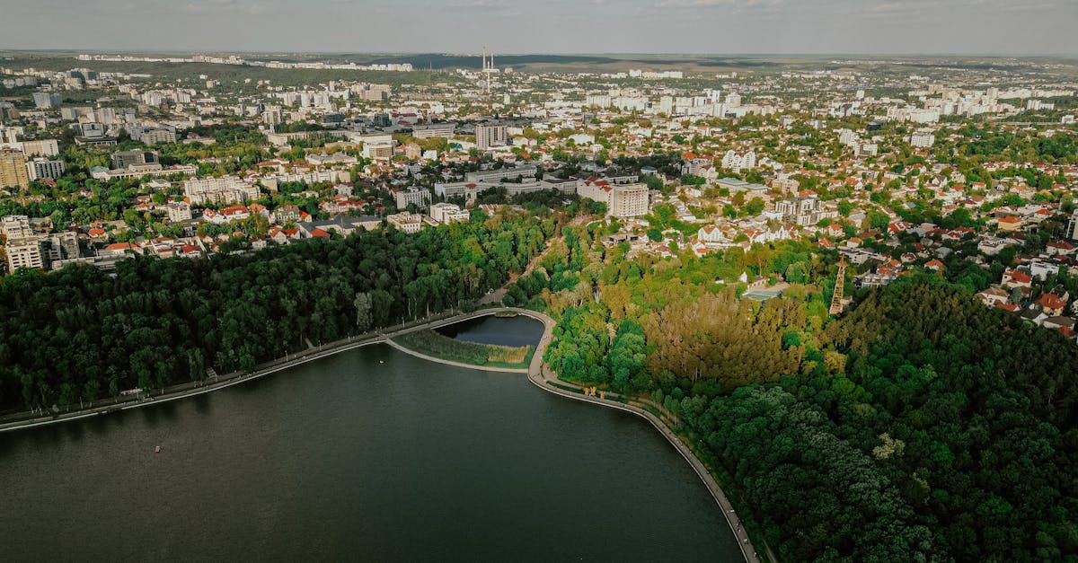 découvrez les indicateurs environnementaux essentiels pour mesurer la santé de notre planète. explorez comment ils influencent les politiques écologiques et contribuent à un développement durable.