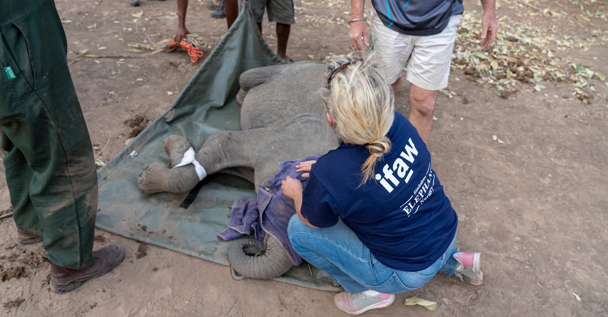 découvrez comment l'implication communautaire enrichit nos vies, renforce les liens sociaux et contribue au développement durable. rejoignez des initiatives locales et découvrez l'impact positif de votre engagement sur votre communauté.