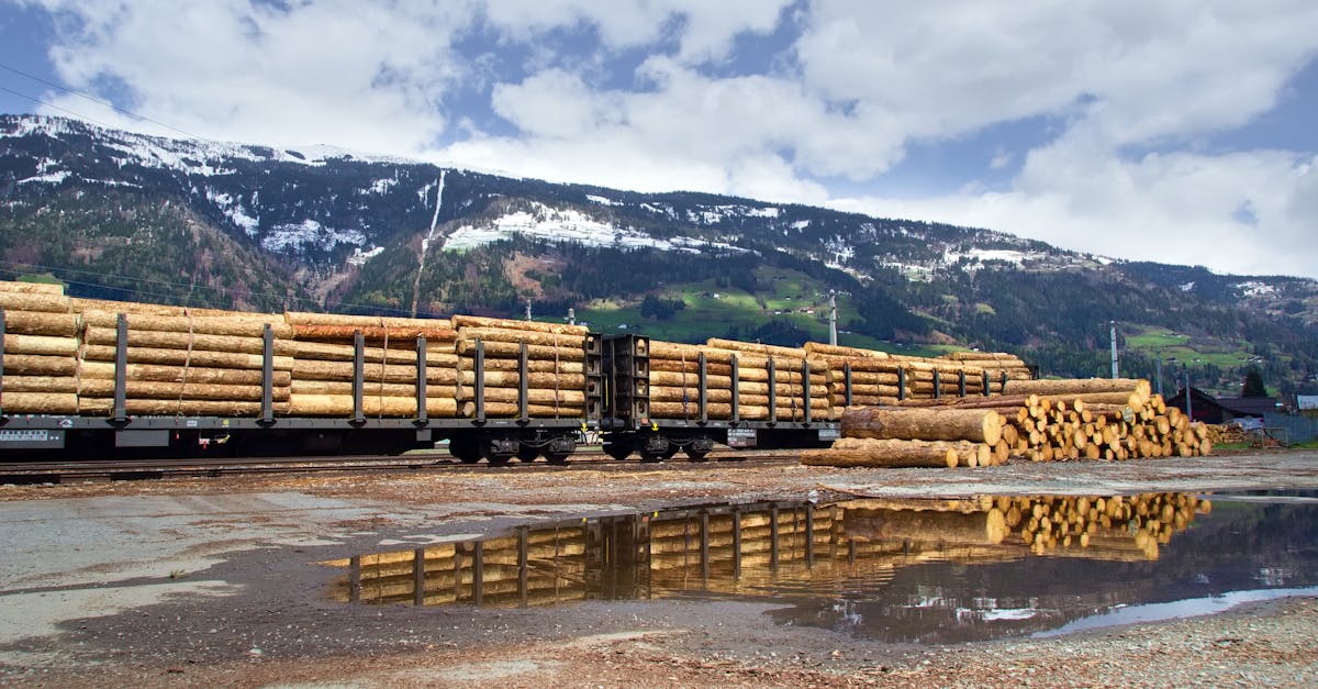 découvrez comment l'économie des écosystèmes transforme notre approche des affaires et encourage un développement durable, grâce à des connexions innovantes entre entreprises et nature.