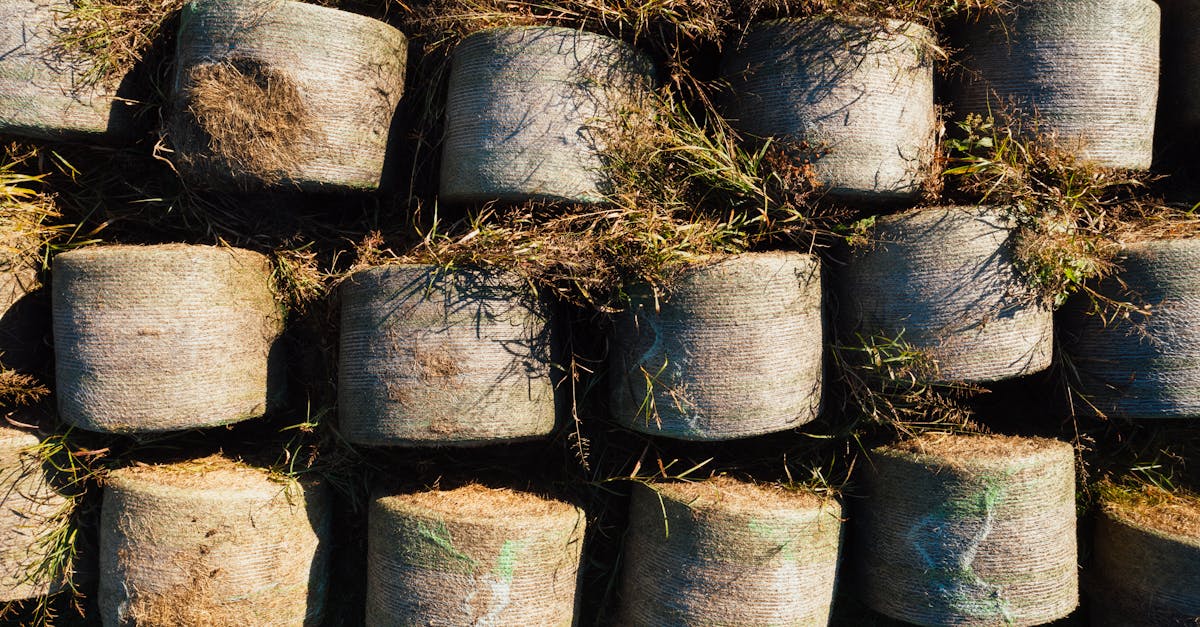 découvrez le processus de séquestration du carbone, une solution clé pour lutter contre le changement climatique. apprenez comment cette technique permet de stocker le dioxyde de carbone dans le sol et la végétation, contribuant ainsi à réduire les gaz à effet de serre et à améliorer la santé de notre planète.