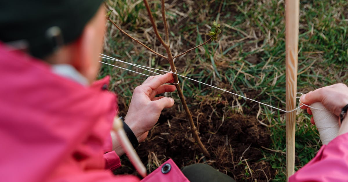 découvrez comment réaliser des économies d'énergie efficaces grâce à des astuces pratiques et des solutions innovantes. optimisez votre consommation énergétique pour réduire vos factures et préserver l'environnement.