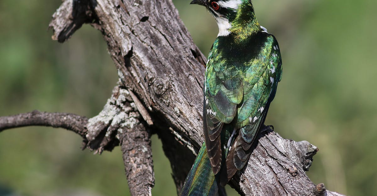 découvrez ce que sont les coûts environnementaux, leur impact sur notre planète et comment ils influencent les décisions économiques et sociétales. comprendre et réduire ces coûts est essentiel pour un avenir durable.