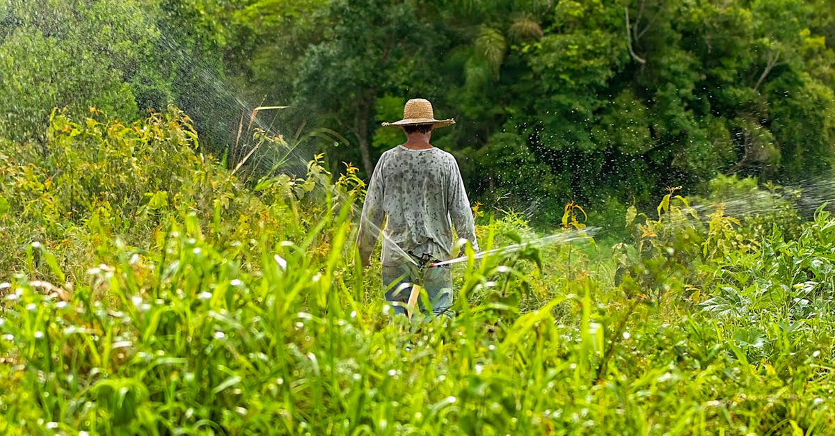 découvrez l'importance de la gestion des écosystèmes pour la protection de la biodiversité et la durabilité de nos ressources naturelles. apprenez comment des pratiques efficaces peuvent contribuer à un équilibre harmonieux entre l'environnement et le développement économique.