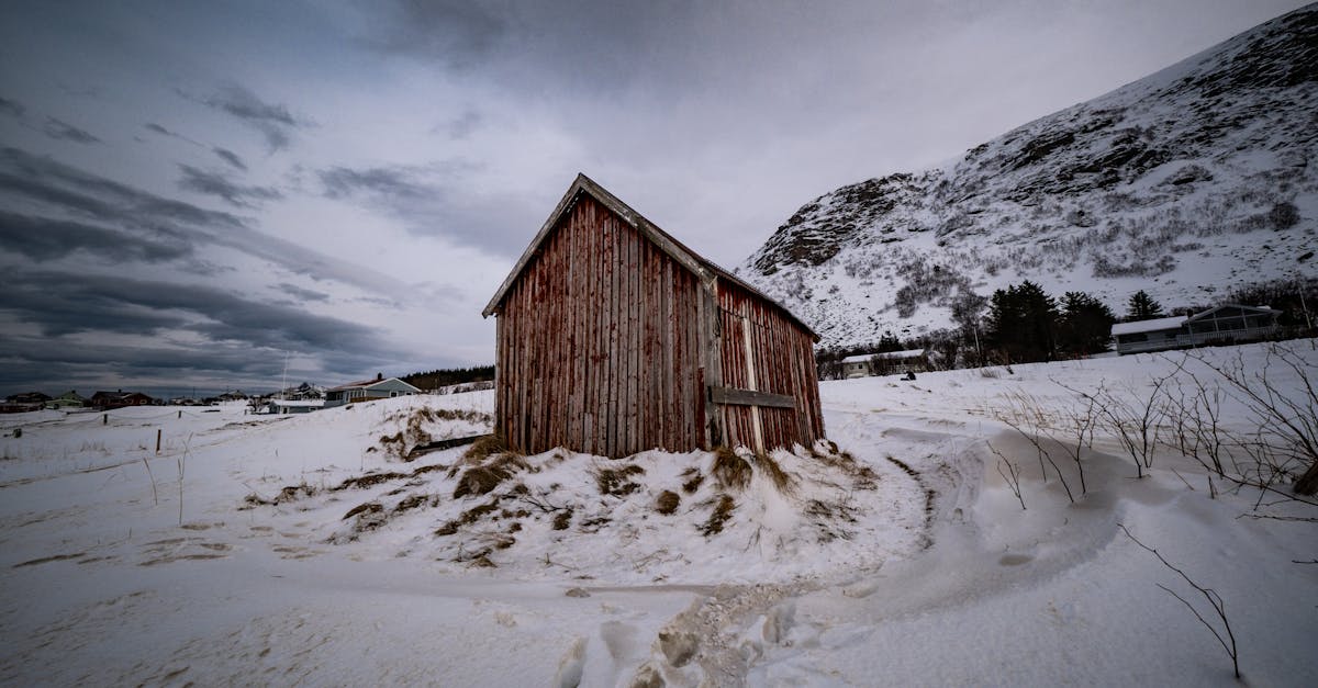 découvrez les meilleures pratiques agricoles d'hiver pour maximiser vos récoltes. explorez des conseils sur la culture, la protection des plantes et les innovations technologiques adaptées aux conditions hivernales.