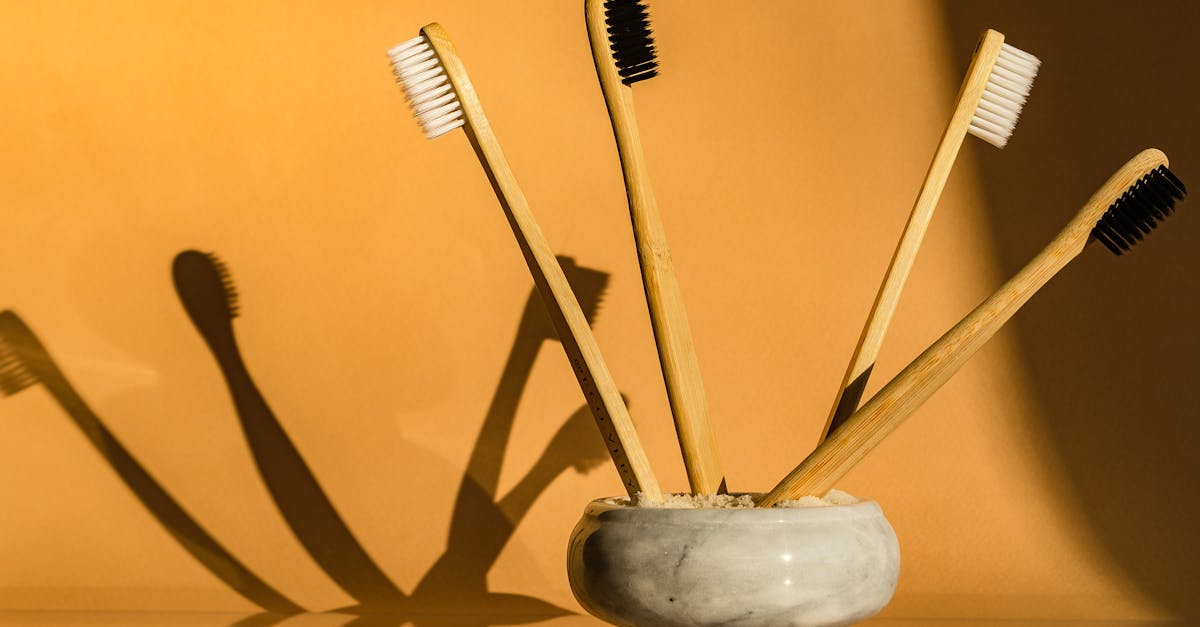 découvrez les matériaux durables, idéaux pour réduire l'impact environnemental de vos projets. explorez des solutions écologiques, innovantes et responsables qui allient qualité et respect de la planète.