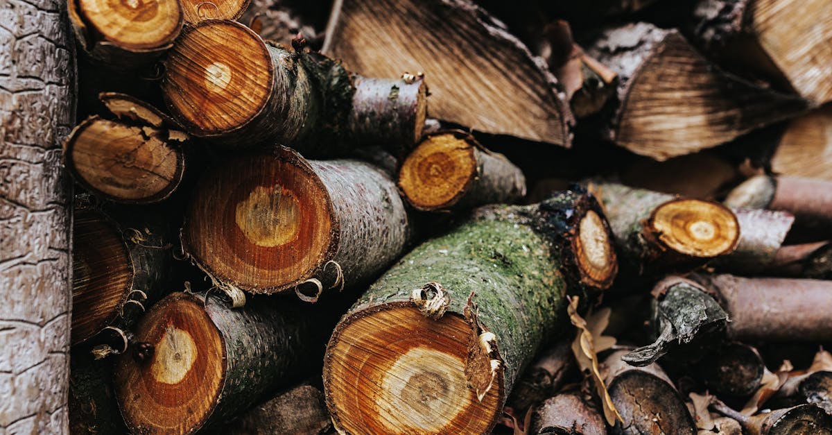 découvrez les solutions de chauffage renouvelable qui permettent de réduire votre empreinte carbone tout en profitant d'un confort optimal. informez-vous sur les technologies écologiques disponibles pour un habitat durable et économique.