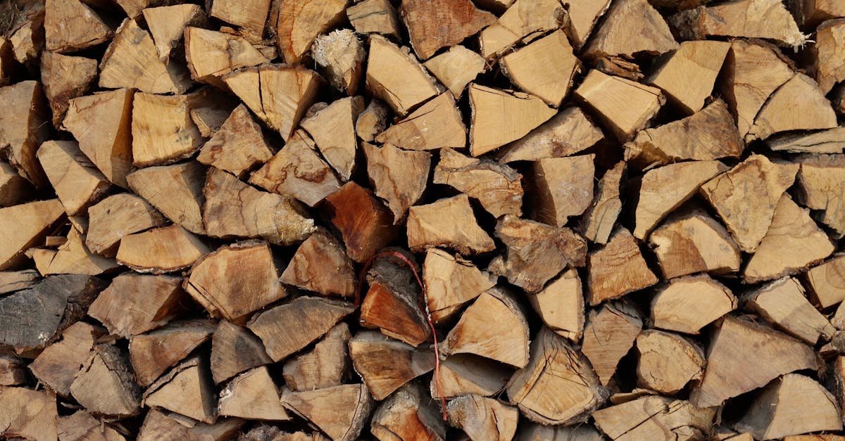 Chauffage renouvelable : Solutions écologiques pour un confort durable