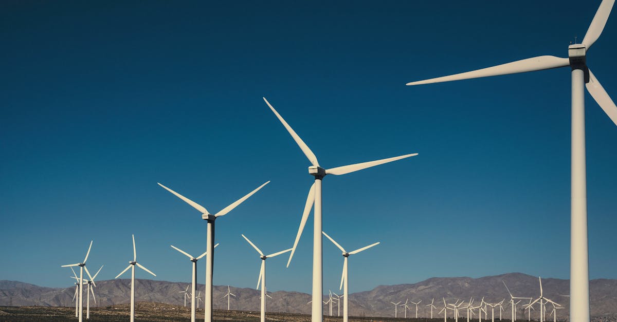 L’impact des technologies sur le bilan carbone scolaire