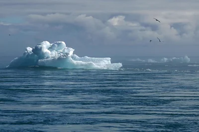 Comprendre l’Accord de Paris : Un engagement mondial pour lutter contre le changement climatique