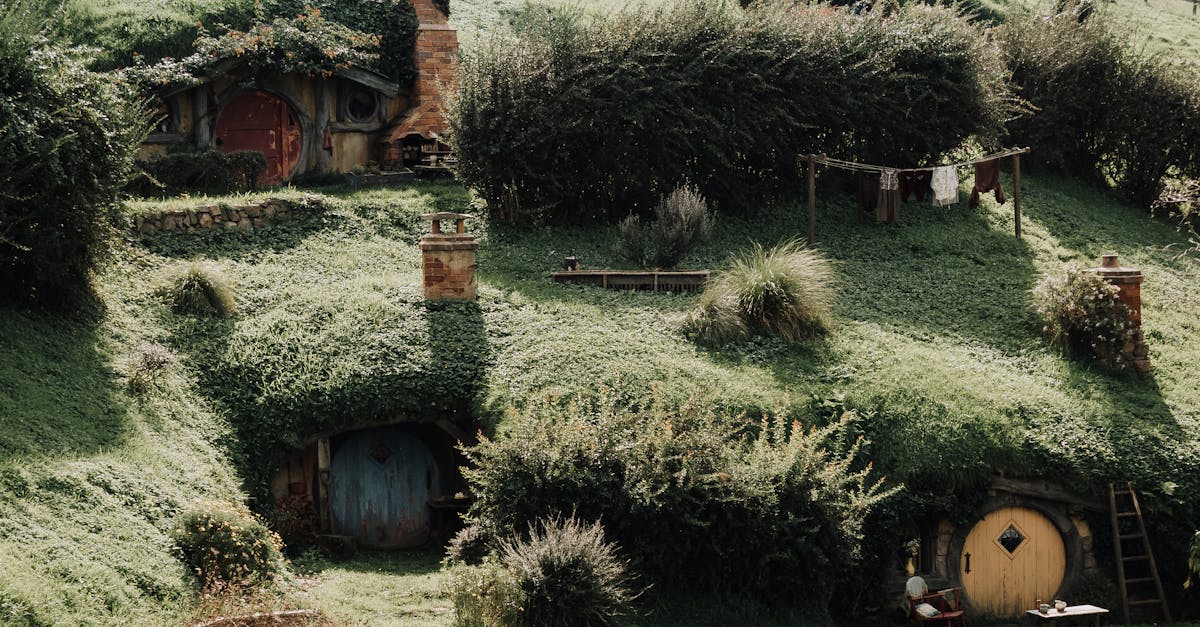 Bâtiments verts : Les avantages écologiques et économiques d’une architecture durable