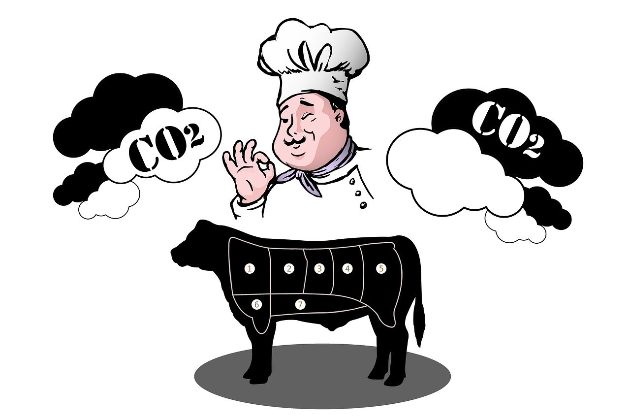 Quels outils utiliser pour un bilan carbone ?