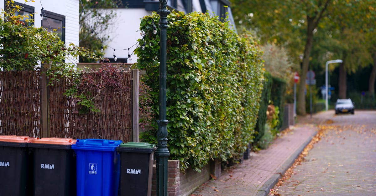 Évaluation des coûts environnementaux : comprendre l’impact économique de la durabilité